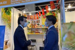 Tiềm năng hợp tác giữa các địa phương Việt Nam và Hong Kong sau dịch