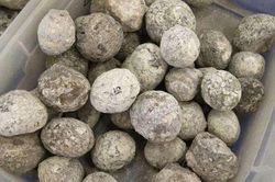 Tìm thấy một đống 'trứng đá' trên bãi biển liền lôi ra đập vỡ, hai cha con bỗng ngây người khi nhìn thấy thứ bên trong