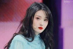 Sau giây phút nổi loạn 'cuối cùng', Trịnh Sảng và studio bị Weibo cấm đăng bài vĩnh viễn