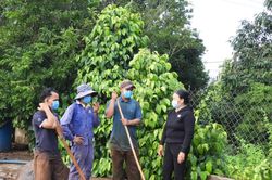 Ia Klai tích cực xây dựng đời sống văn hóa