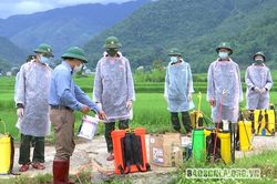 Hỗ trợ người dân Phù Yên sản xuất nông nghiệp trong thời gian giãn cách xã hội