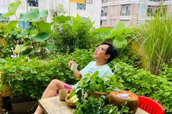 Trồng rau, nuôi chim trên sân thượng để thư giãn trong dịch