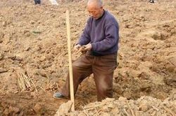 Ông lão đào được thanh kiếm khắc 3 ký tự đặc biệt nhưng lại đem về làm bếp, người dân phỏng đoán: Là Thượng phương bảo kiếm?