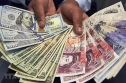 Tỷ giá ngoại tệ hôm nay 30/8: Đồng USD tiếp tục đi xuống