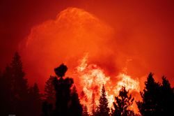 Mỹ: Các đám cháy rừng tại bang California đang diễn biến phức tạp