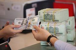 Tỷ giá USD hôm nay 30/8: Giảm không ngừng
