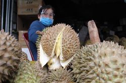 Ngành nông nghiệp cần làm gì để ngăn chuỗi cung ứng gãy đổ?