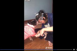 Cô gái có 'phát minh vĩ đại' khi cắt móng cho chó cưng
