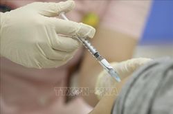 Người Việt tại Nga triển khai hình thức mới ủng hộ Quỹ vaccine