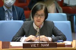 Việt Nam kêu gọi các bên kiềm chế, tập trung đàm phán vấn đề Israel-Palestine