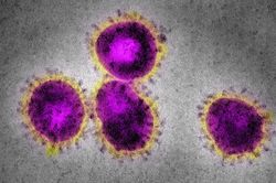 WHO: Biến chủng Mu mới phát hiện có nguy cơ kháng vaccine
