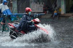 Thời tiết hôm nay các khu vực đều có mưa và dông