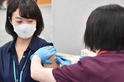 Covid-19: Lại thấy chất lạ ở vắc-xin Moderna, nọc rắn có thể ức chế virus