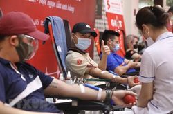 Hiến máu sau tiêm vaccine phòng COVID-19 hoàn toàn an toàn