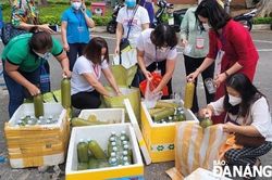 Hỗ trợ tiêu thụ mía Hòa Bắc