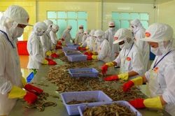 Dự báo xuất khẩu thủy sản tiếp tục giảm trong tháng 9