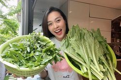 Nghệ sĩ chăm sóc vườn cây, trồng rau khi giãn cách