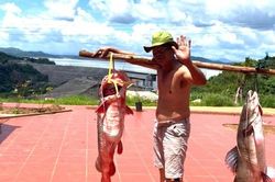 Ba giờ vật lộn để đưa 'thủy quái' sông Sê San lên bờ
