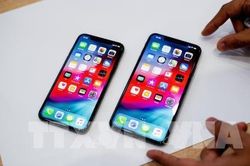 Một số tiểu bang của Mỹ chấp nhận bằng lái và ID kỹ thuật số trên Apple Wallet