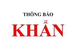 Quận Thanh Xuân: Tìm người mua rau, hoa quả tại ngõ 477 Nguyễn Trãi