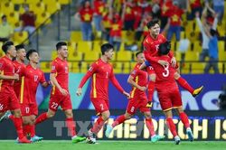 Vòng loại World Cup 2022: Chơi thiếu người, Việt Nam thua Saudi Arabia