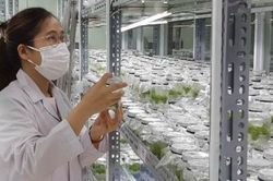 Kinh tế Khoa học - công nghệ Đưa khoa học, công nghệ về làng