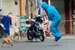 Nhân viên y tế chống dịch và niềm đam mê bất tận 'chọc chó'