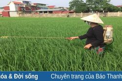 Chuyện người phụ nữ cả đời kết thân với 'tử thần'