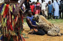 Nghề nuôi linh cẩu phục vụ giải trí và làm thuốc ở Nigeria