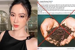 Bộ Quy tắc ứng xử cho nghệ sĩ: Chưa đủ mạnh để chấn chỉnh tình trạng nghệ sĩ quảng cáo bát nháo