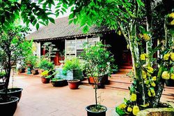 Vườn cây cối xanh mướt trong biệt phủ 1.000m2 của Vượng Râu