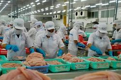 Chỉ 30-40% doanh nghiệp thủy sản đủ năng lực phục hồi sản xuất sau giãn cách