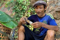'Người rừng' Hồ Văn Lang qua đời