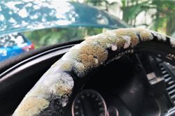 Ôtô bị nấm mốc vì không được đụng đến trong mùa dịch