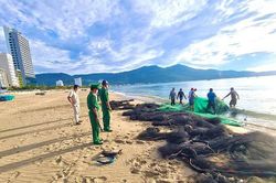 Xử lý 9 người kéo lưới vi phạm quy định phòng, chống dịch