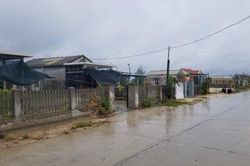 Kinh tế Triển khai phương án ứng phó bão Conson