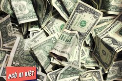 Có ai biết: Tiền giấy không làm từ giấy, lông chim từng là vật liệu làm ra tiền