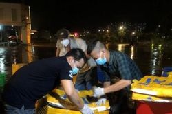 Những xe hàng đầu tiên chở đầy ắp rau củ, cá tươi đã về chợ đầu mối Bình Điền