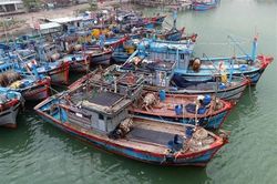 Ứng phó với bão Conson: Thanh Hóa kêu gọi tàu thuyền vào nơi tránh trú bão an toàn