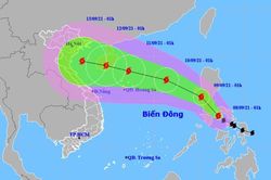Triển khai ứng phó với bão Côn Sơn