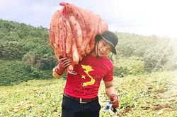 Người hết lòng với các phong trào thiện nguyện