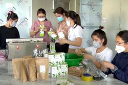 Khởi nghiệp xây dựng thương hiệu sản phẩm từ nông nghiệp