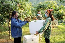 Phát huy vai trò quyền làm chủ của nhân dân