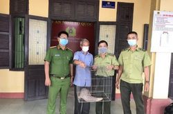 Kinh tế Nông nghiệp - Nông thôn Giao nộp cá thể tê tê vàng quý hiếm