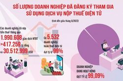 Chống thất thu thuế thương mại điện tử: Cần có giải pháp pháp lý chặt chẽ và quyết liệt hơn