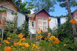 Ngấm đòn COVID-19, homestay đồng loạt rao bán, giá giảm sâu vẫn ế khách