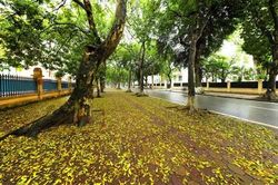 Hà Nội và những khoảnh khắc thân thương