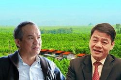 Lỗ lũy kế, mất cân đối tài chính, vì sao HAGL Agrico không bị nghi ngờ khả năng hoạt động liên tục?