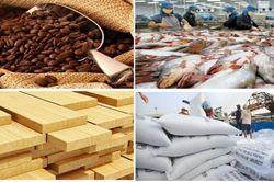Xuất khẩu nông, lâm, thủy sản 8 tháng đầu năm tăng 21,6% so với cùng kỳ