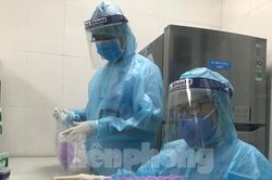 Nhiều ca mắc COVID-19, thành phố Vinh đề xuất di dời chợ đầu mối ra ngoại thành